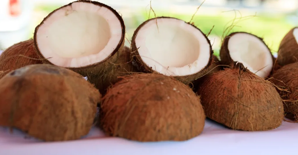 découvrez les meilleures alternatives au lait de coco pour cuisiner ou boire, adaptées à tous les régimes et préférences.