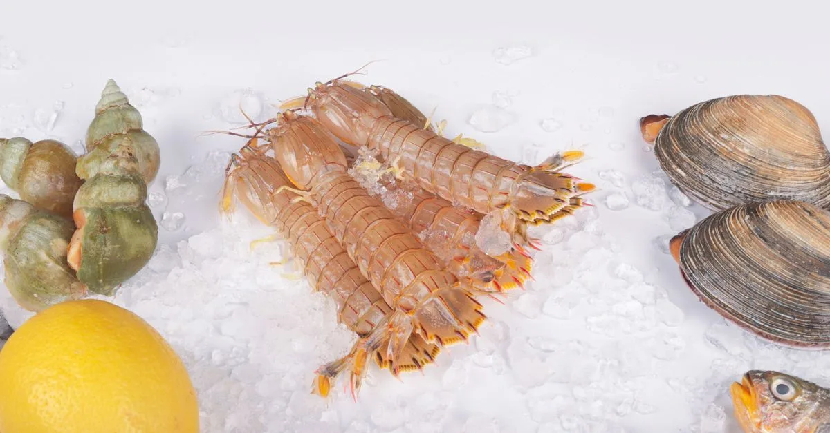 découvrez notre sélection fraîche et savoureuse de fruits de mer, idéale pour des repas gourmands et raffinés.
