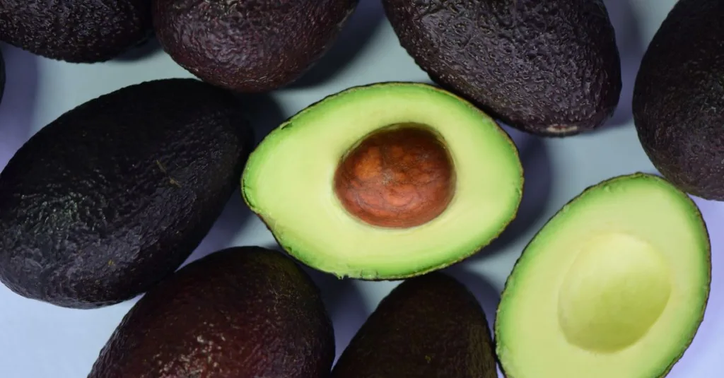 découvrez tout sur l'avocat : bienfaits, recettes savoureuses et conseils pour choisir et conserver ce fruit crémeux et nutritif.